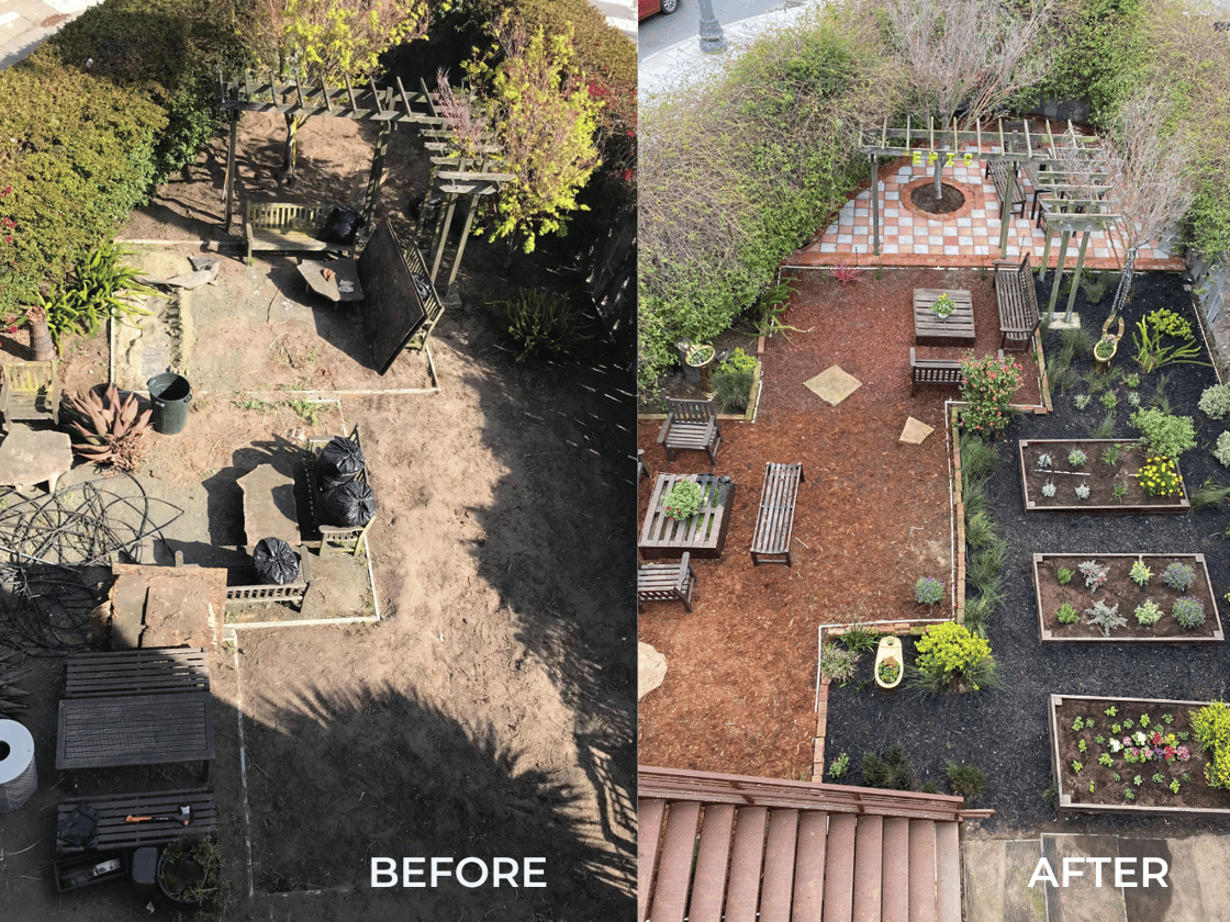 an image taken from above the Epic Garden in downtown San Francisco showing the garden before vs after installation with soil amendments.