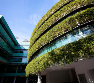 Building with live greenery details