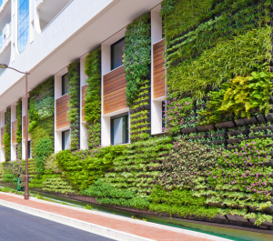 Image of a building wall with greenery covering its side